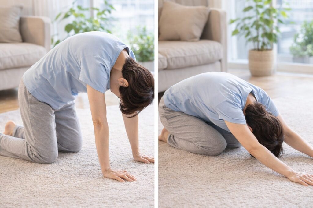 腰痛・脊柱起立筋群・ストレッチ