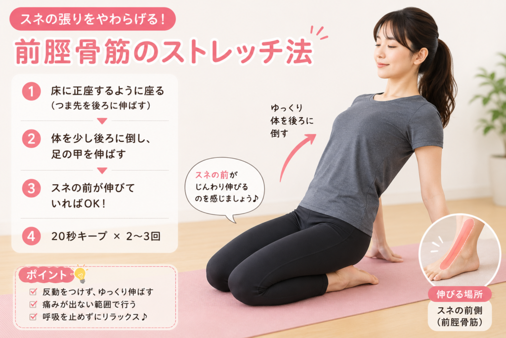 膝関節痛・前脛骨筋・ストレッチ